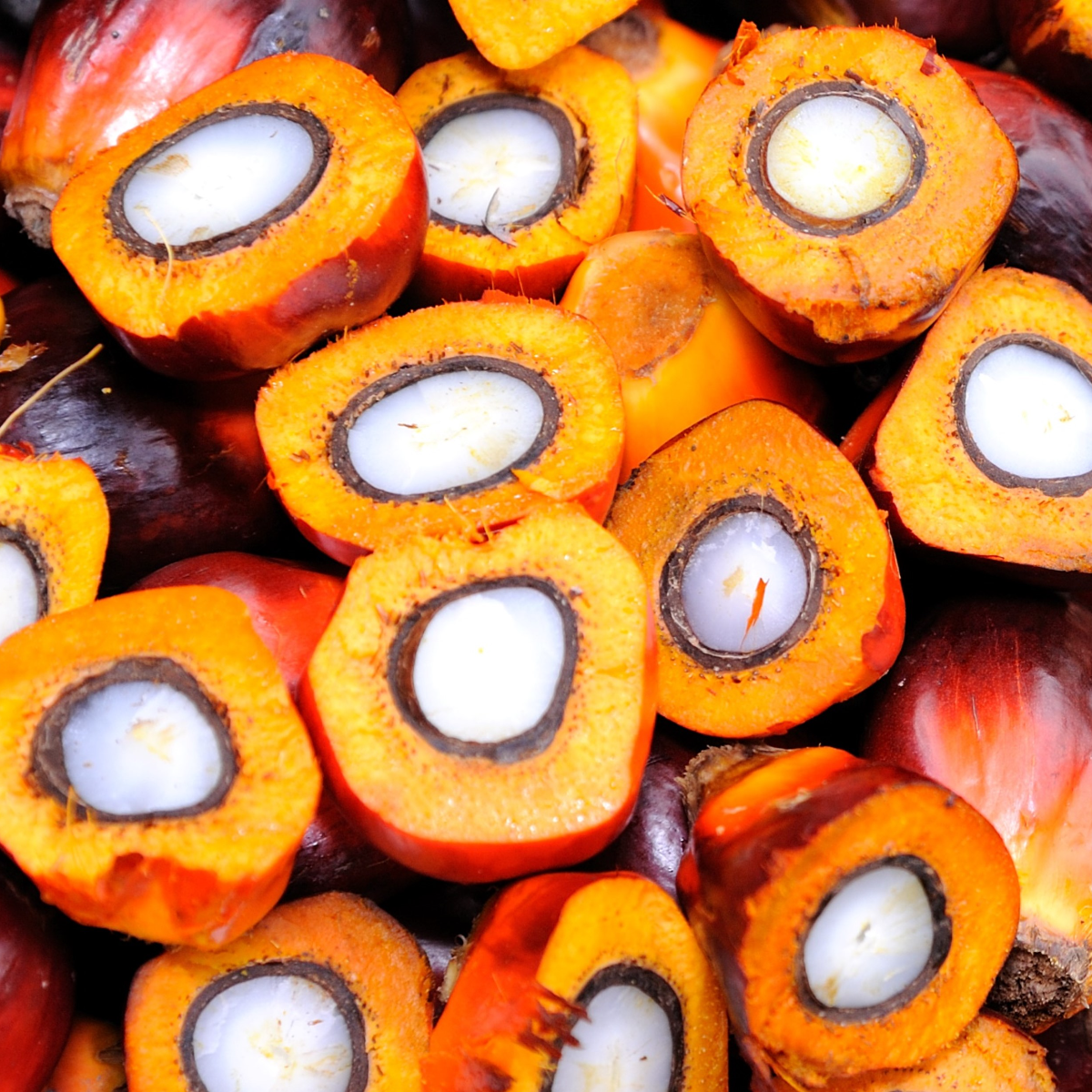 Palm Oil